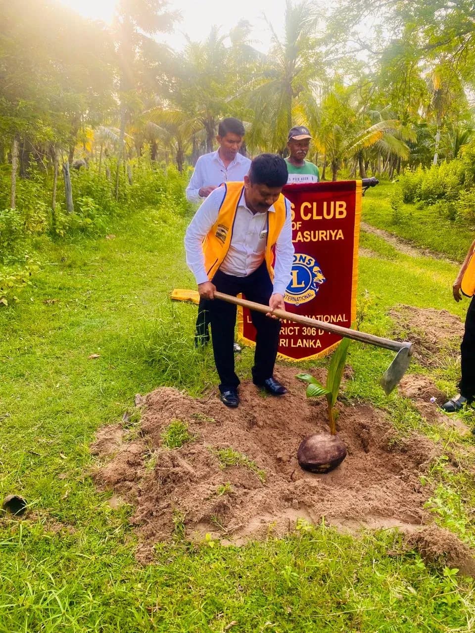 A club member planting a coconut sapling.